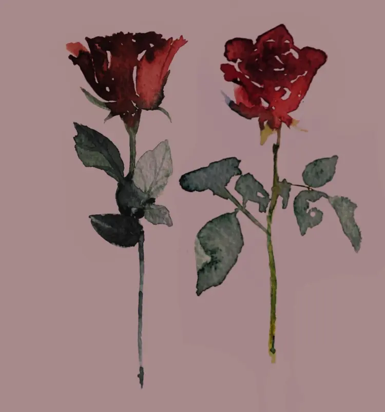 Flower, Rose