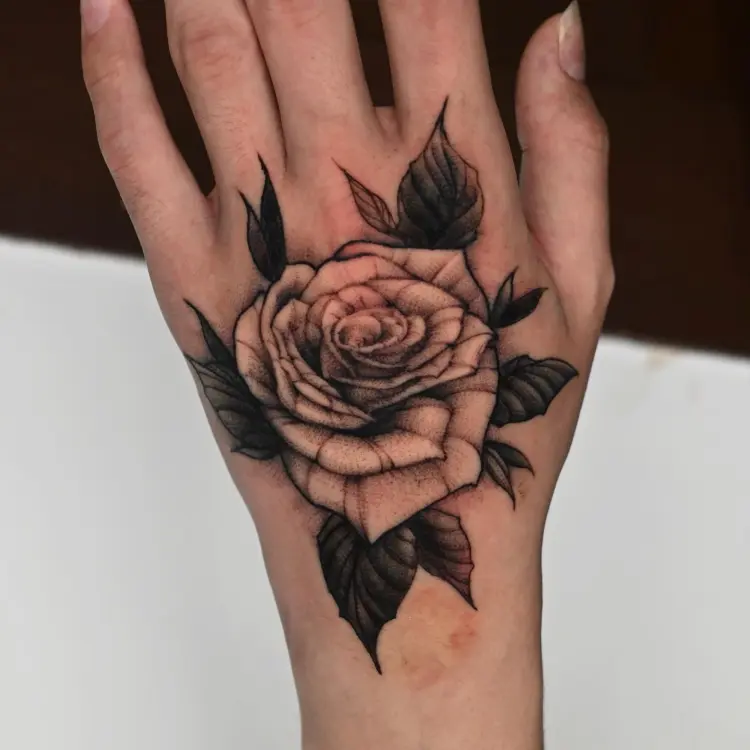 Flower, Rose