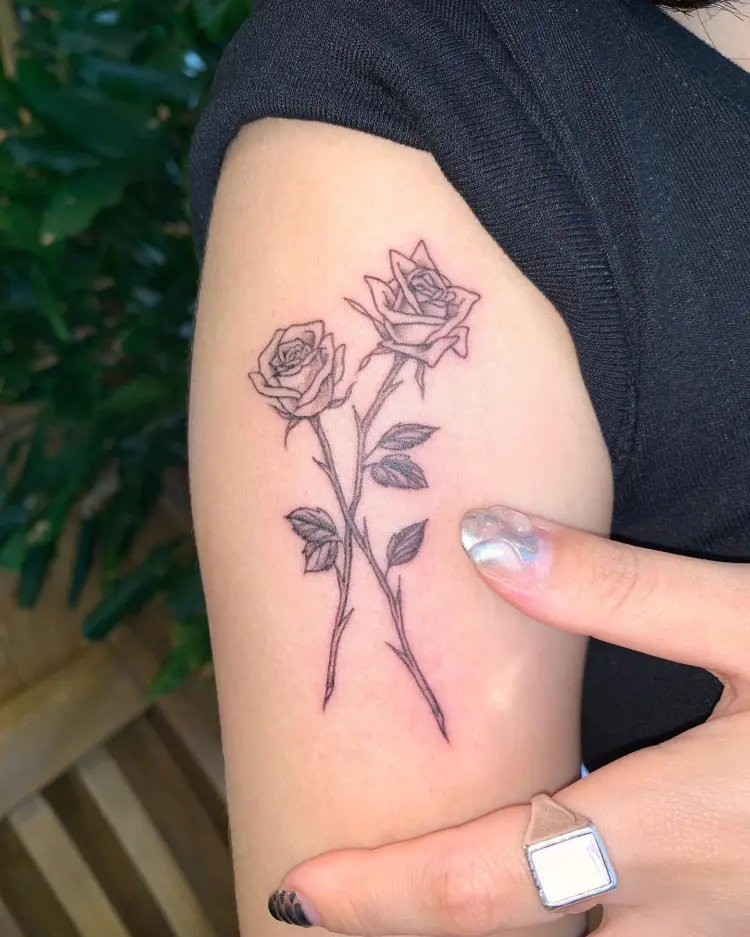 Rose, Flower