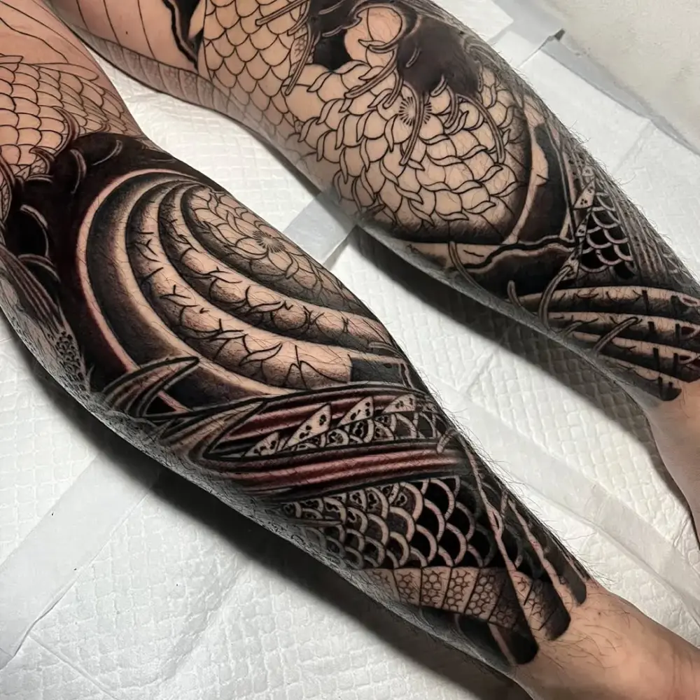 Animal, Dragon