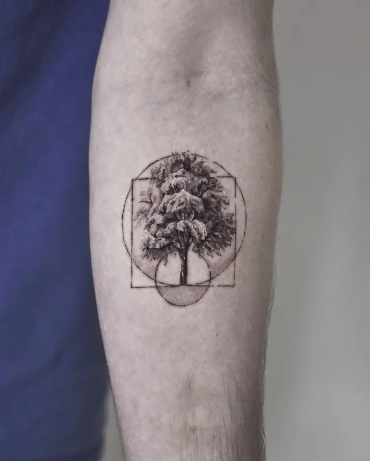 Nature