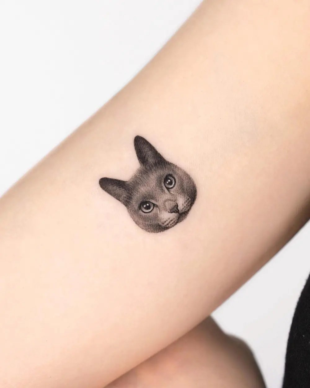 Animal, Mini