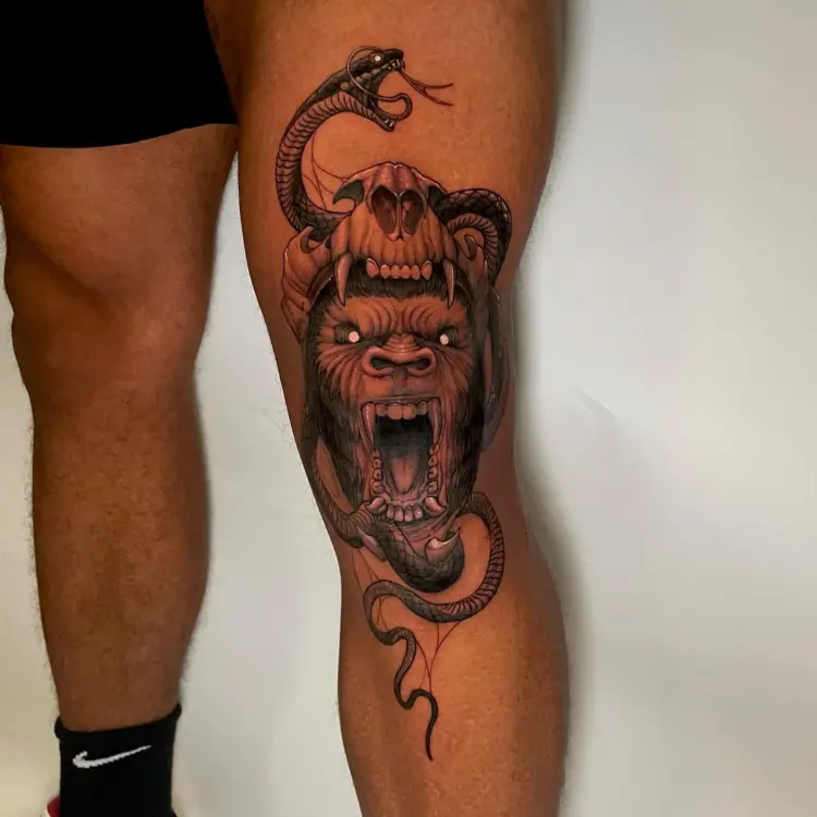 Animal