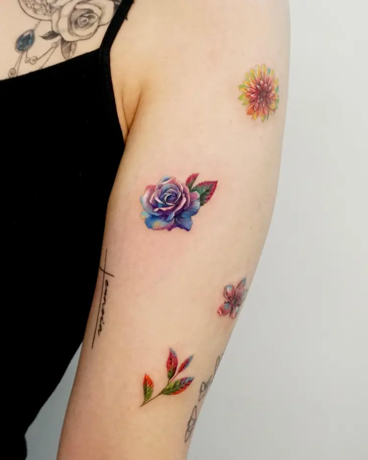 Flower, Rose