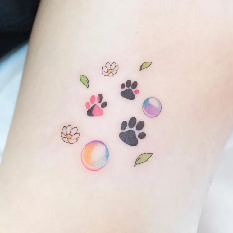 Flower, Nature, Animal