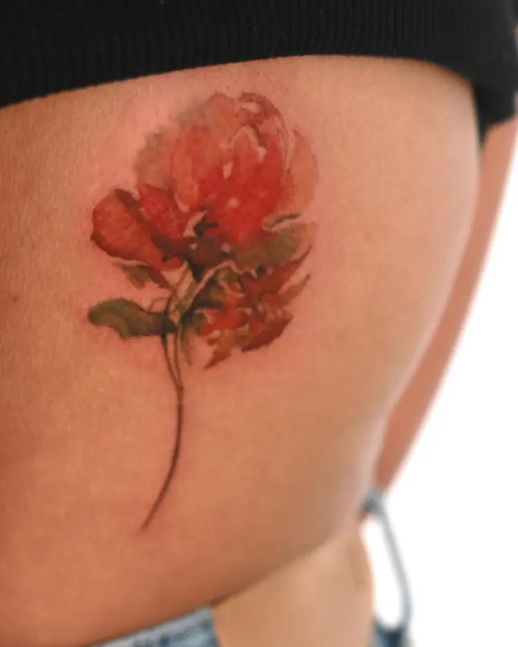 Flower, Rose