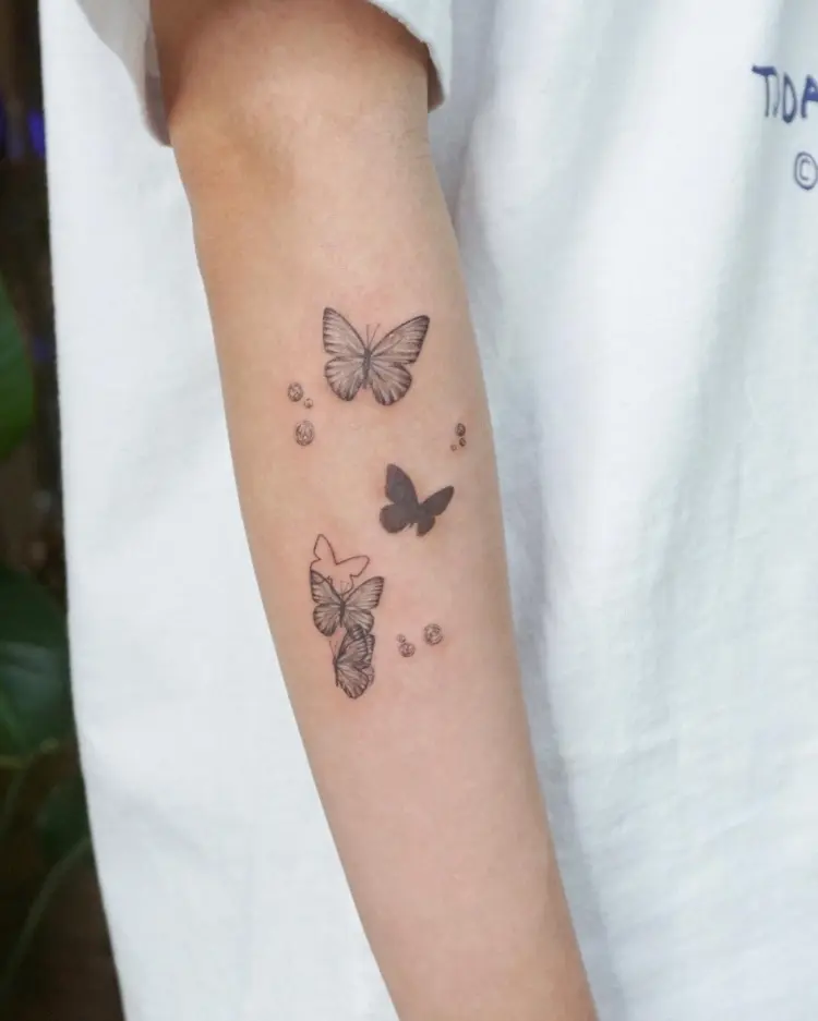 Nature, Animal