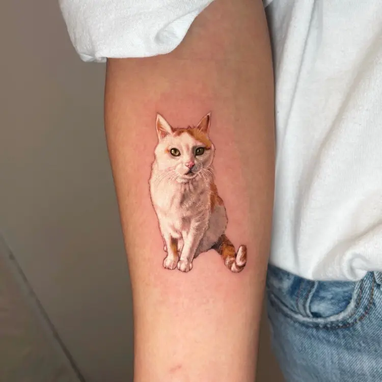 Animal