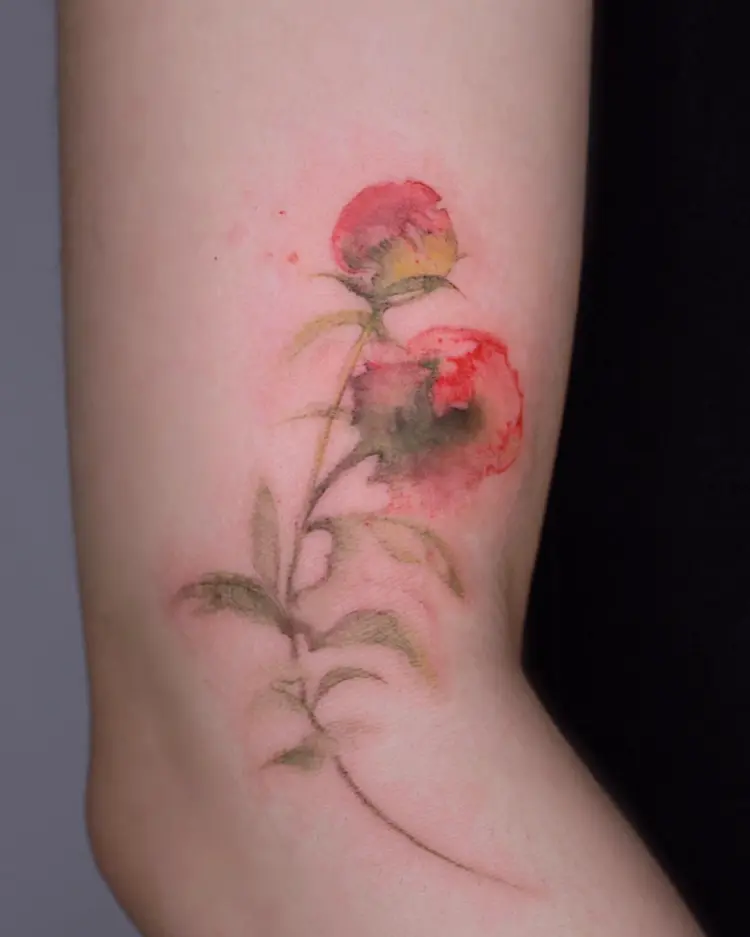 Flower, Rose