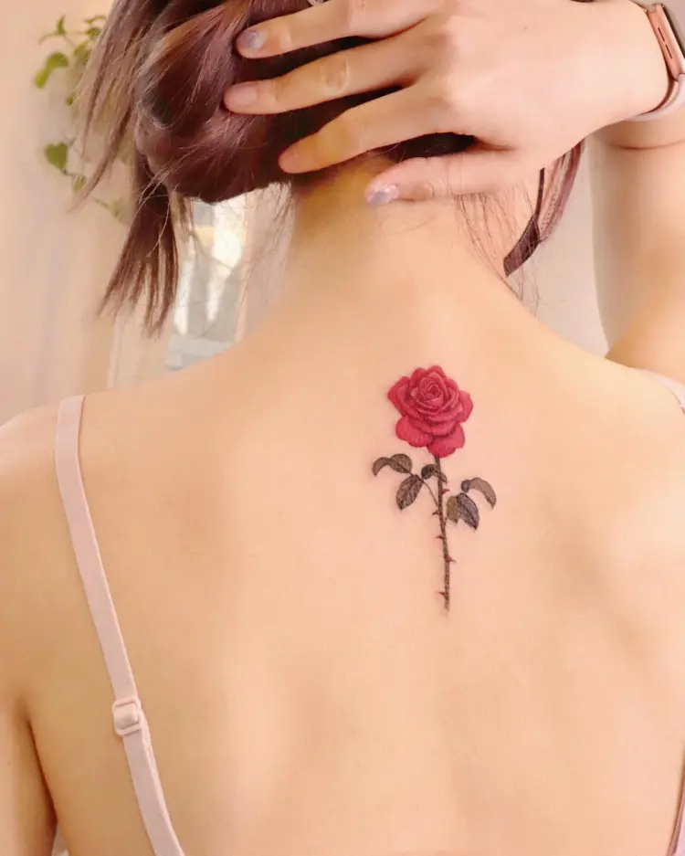 Flower, Rose