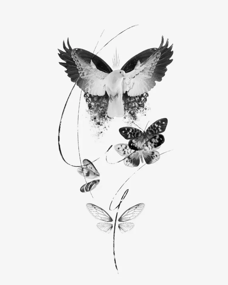 Nature, Animal