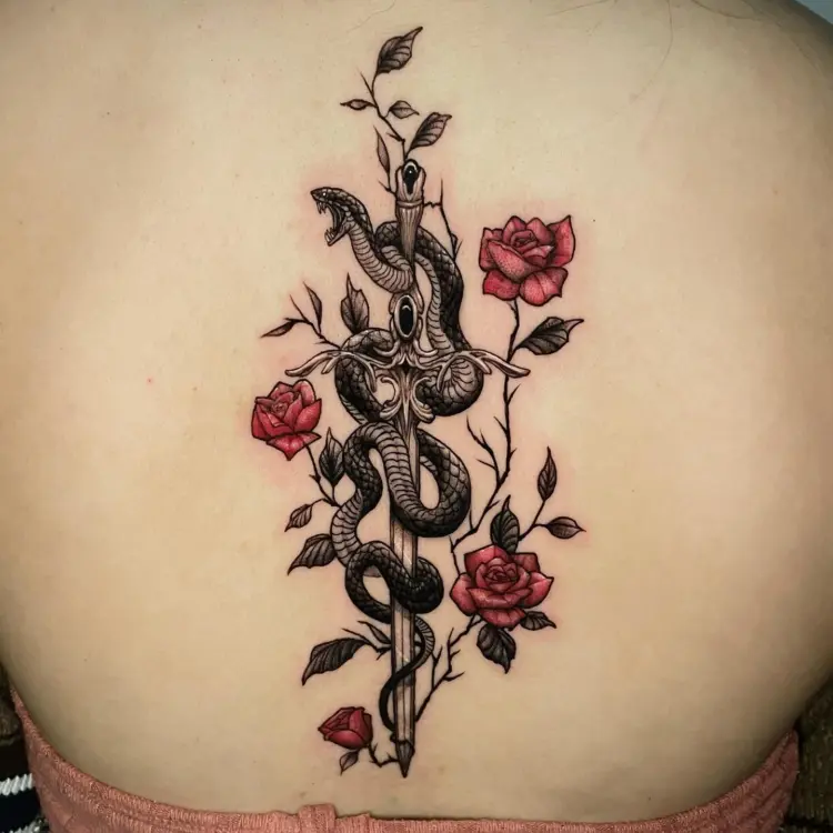 Snake, Rose, Nature