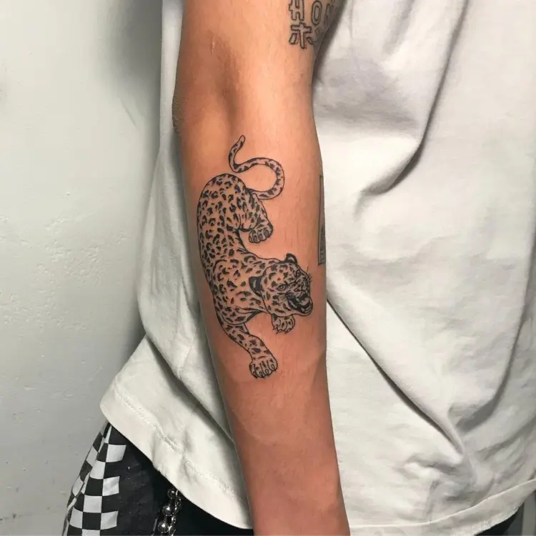 Tiger, Animal