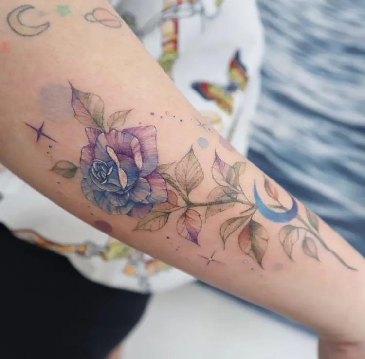 Rose, Flower, Nature