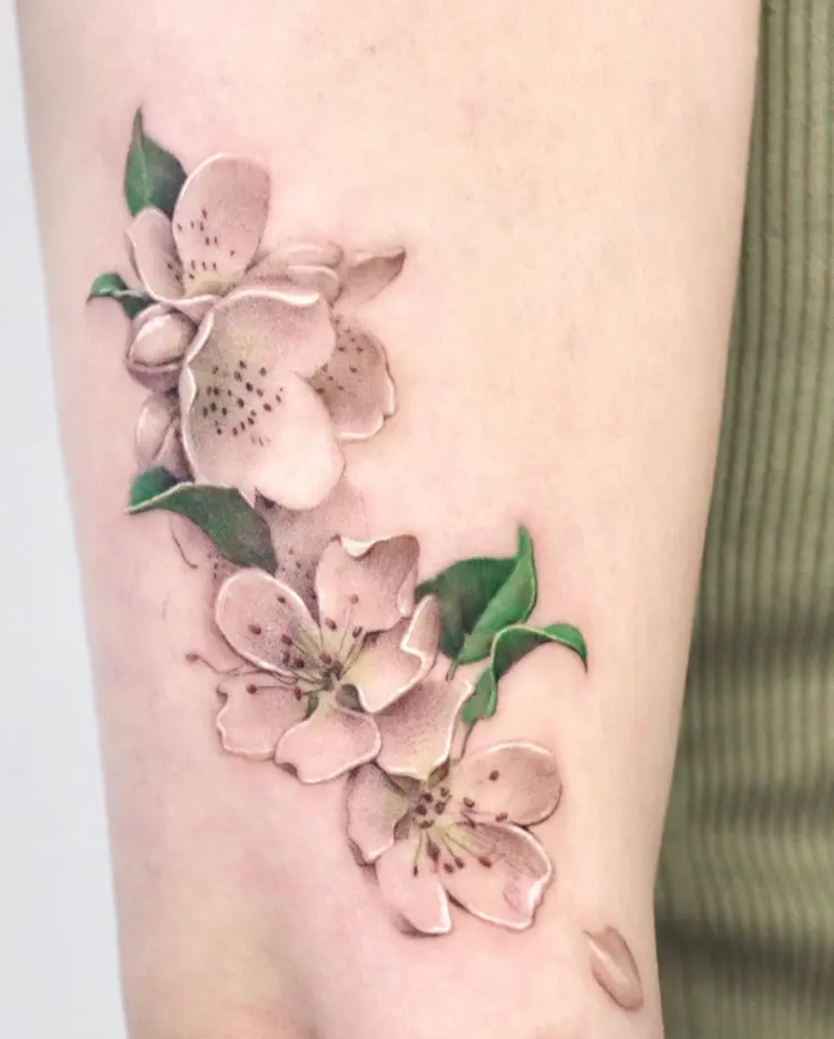 Flower, Nature