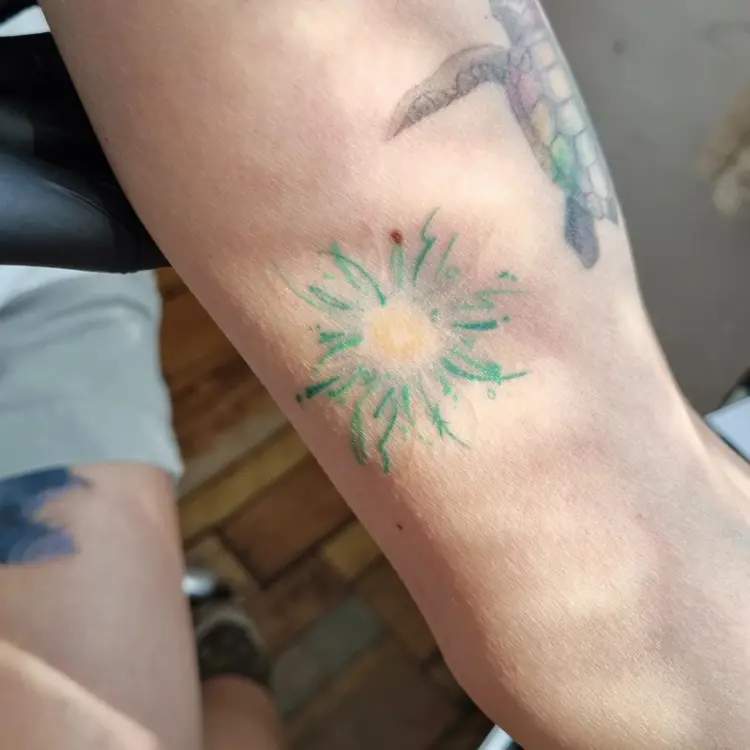 Flower, Nature