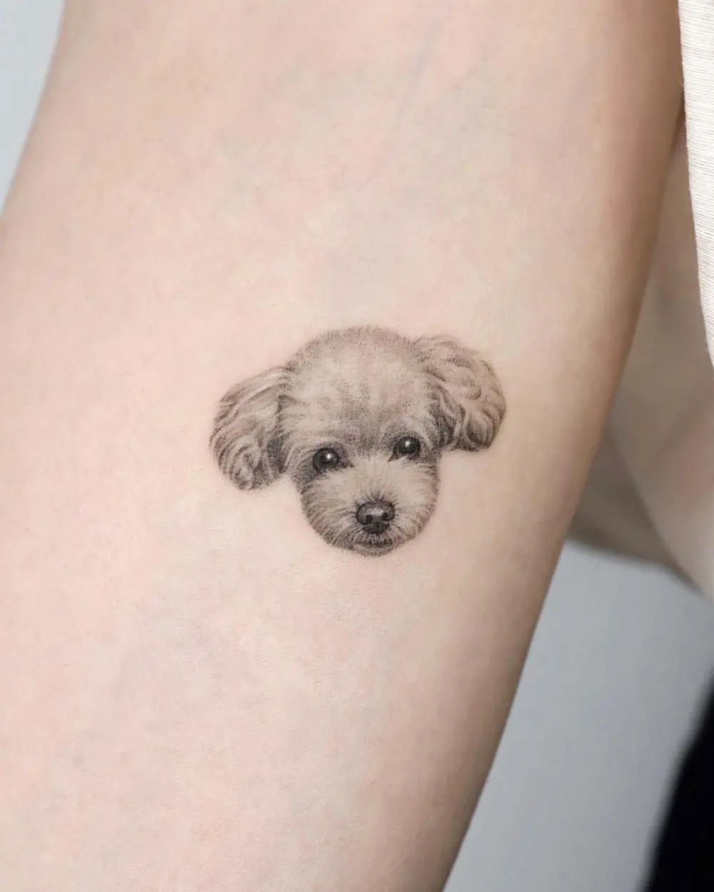 Animal, Mini