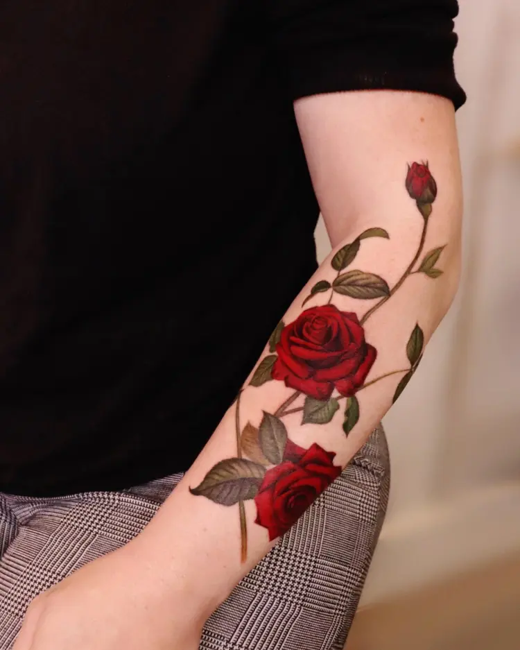 Flower, Rose, Nature