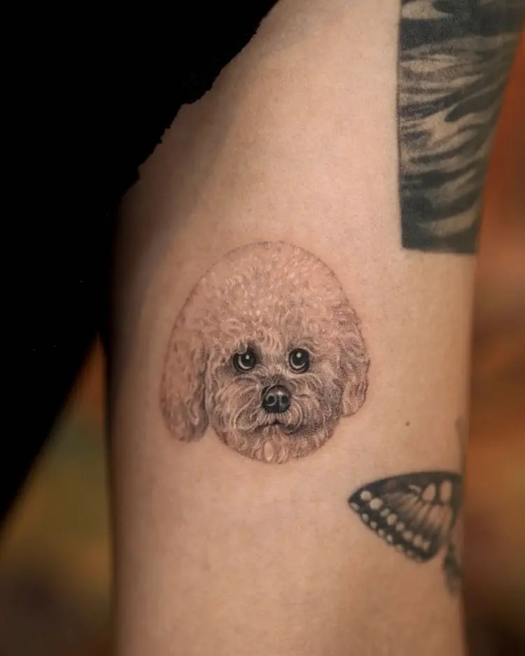 Animal, Mini