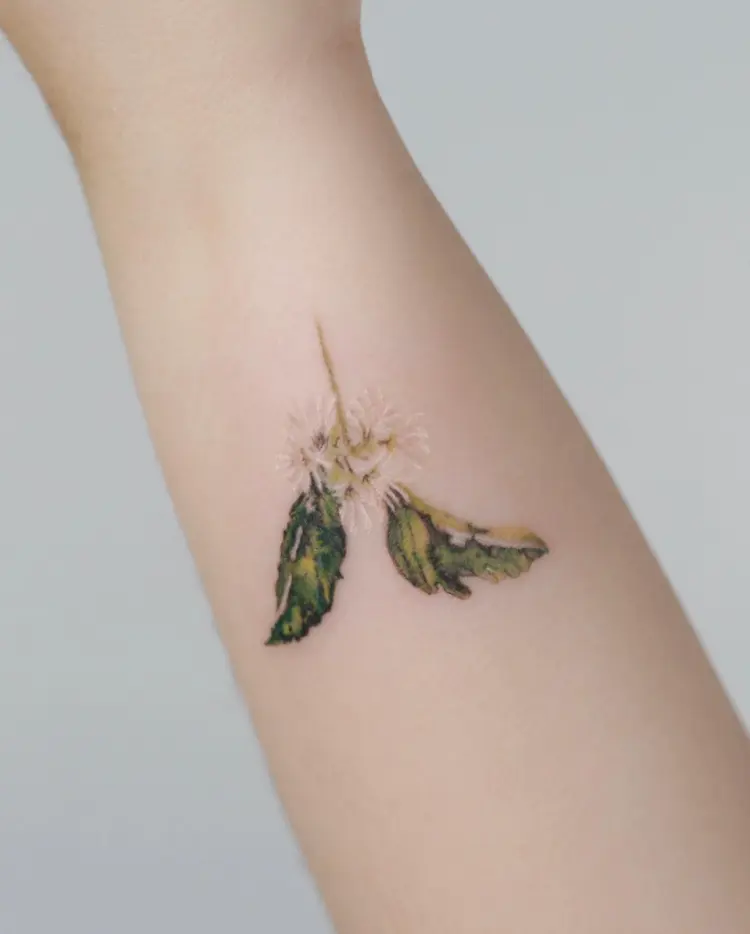 Flower, 풀, 개미, 매미, 전갈, 지네, 잠자리