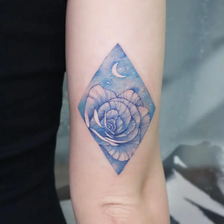 Flower, Rose