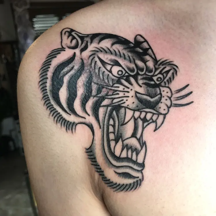 Tiger, Animal