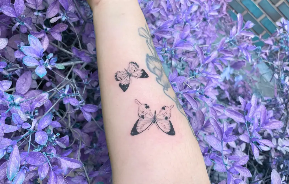 Animal, Nature
