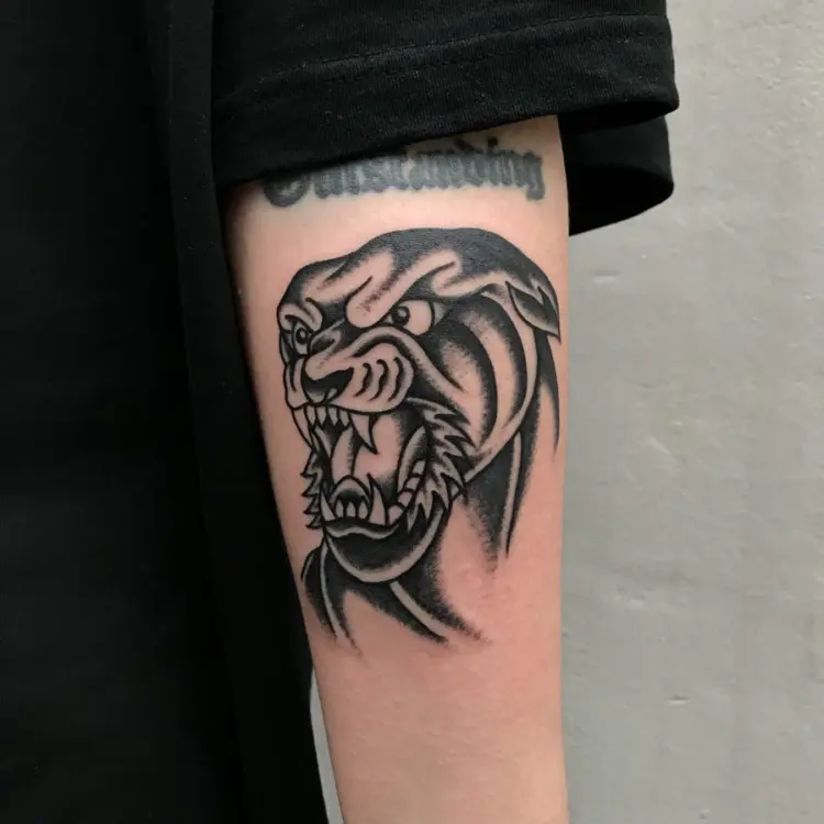 Animal, Tiger