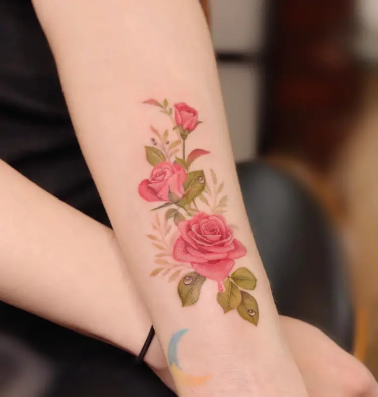 Rose, Nature, Flower