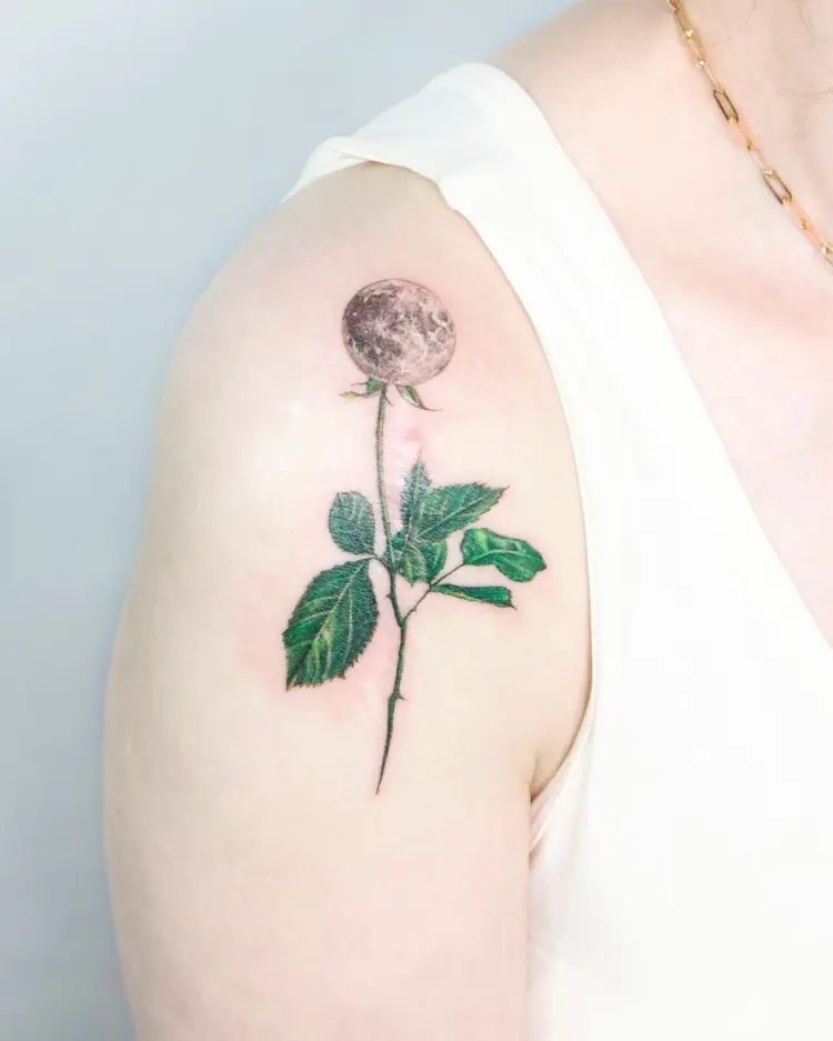 Flower, Nature