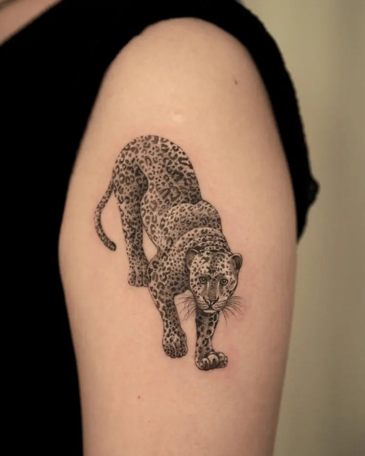 Animal