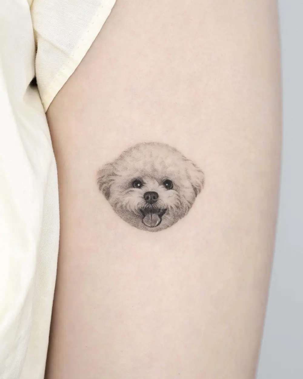 Animal, Mini