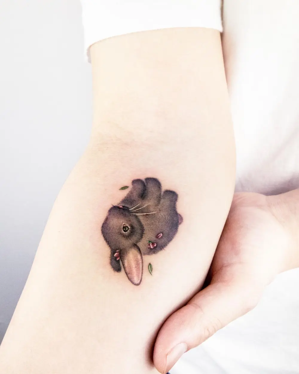 Animal, Mini