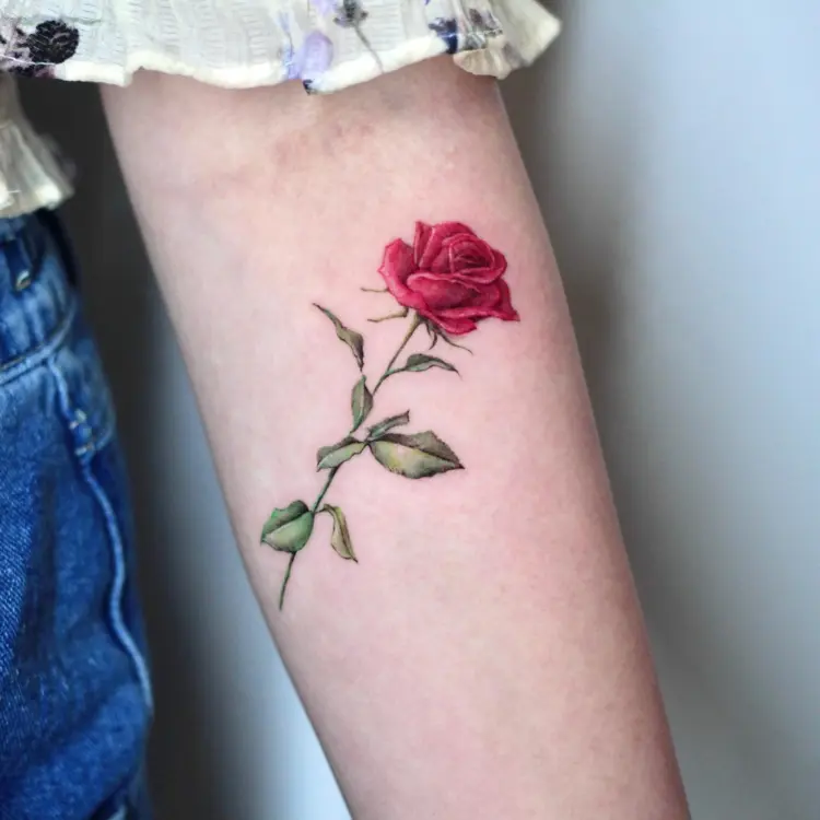 Flower, Rose
