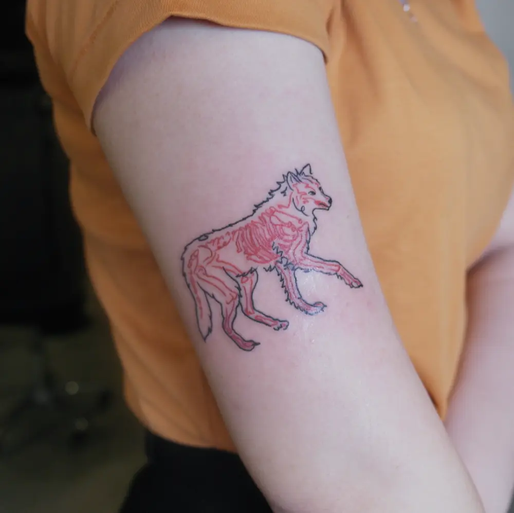 Animal