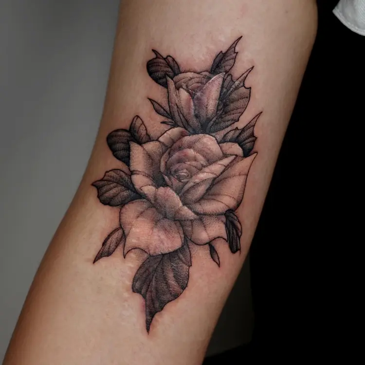 Flower, Rose