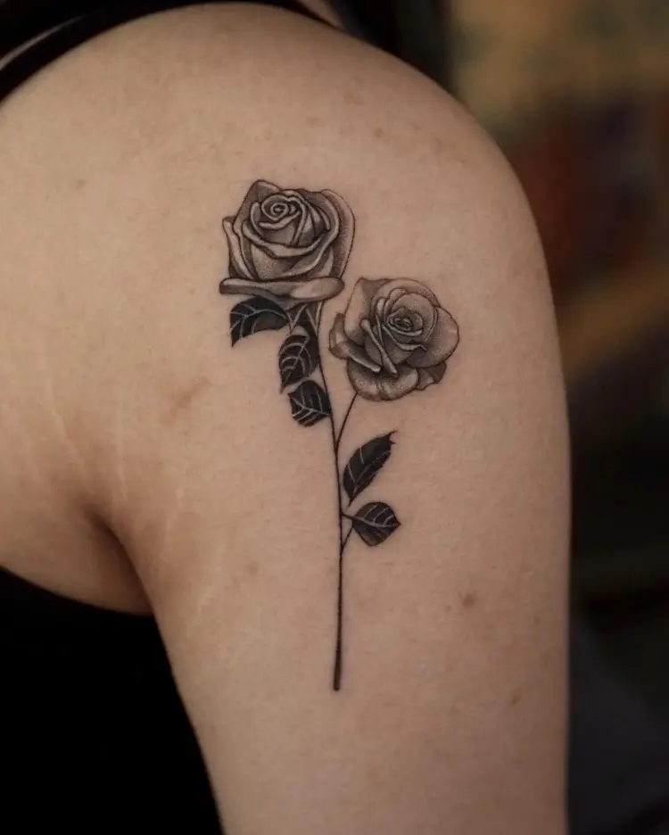 Nature, Flower, Rose