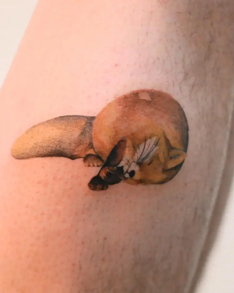 Animal