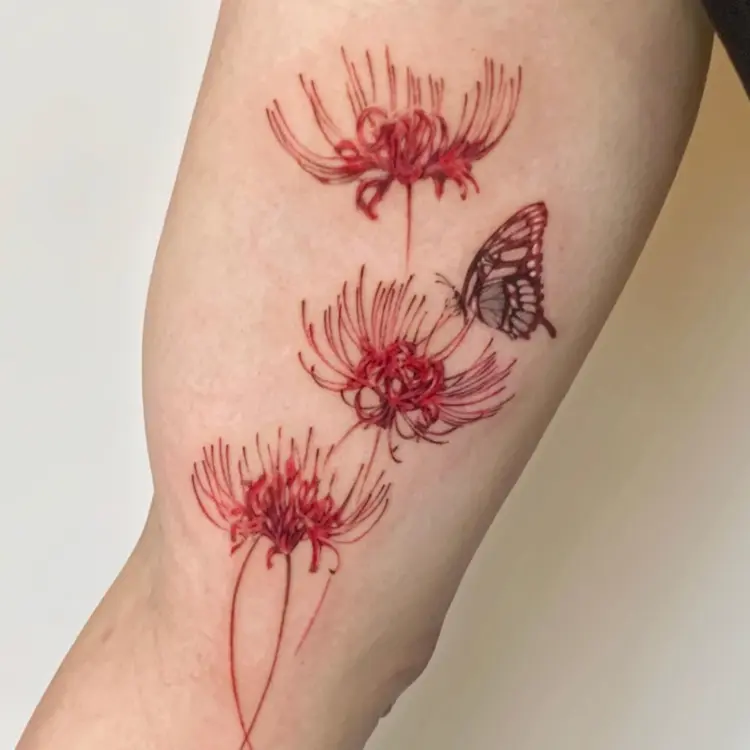 Flower, Nature, Animal