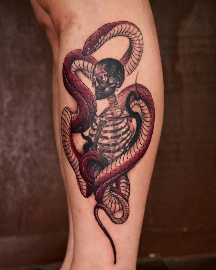 Snake, Skull