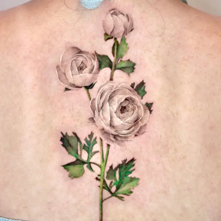 Flower, Rose
