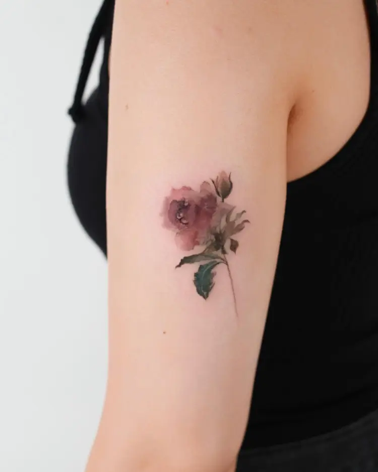 Rose, Flower