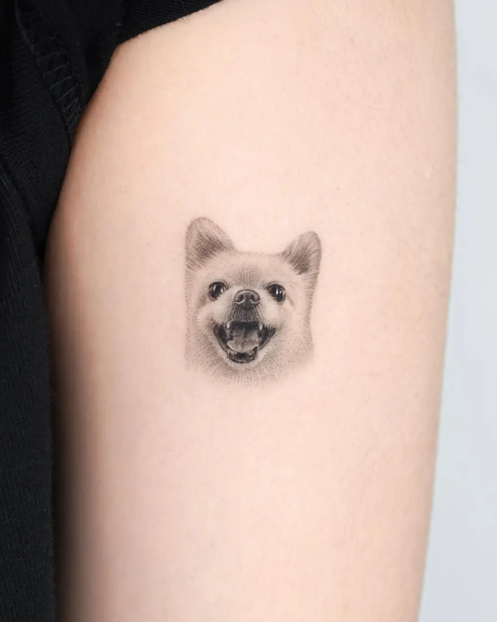 Animal