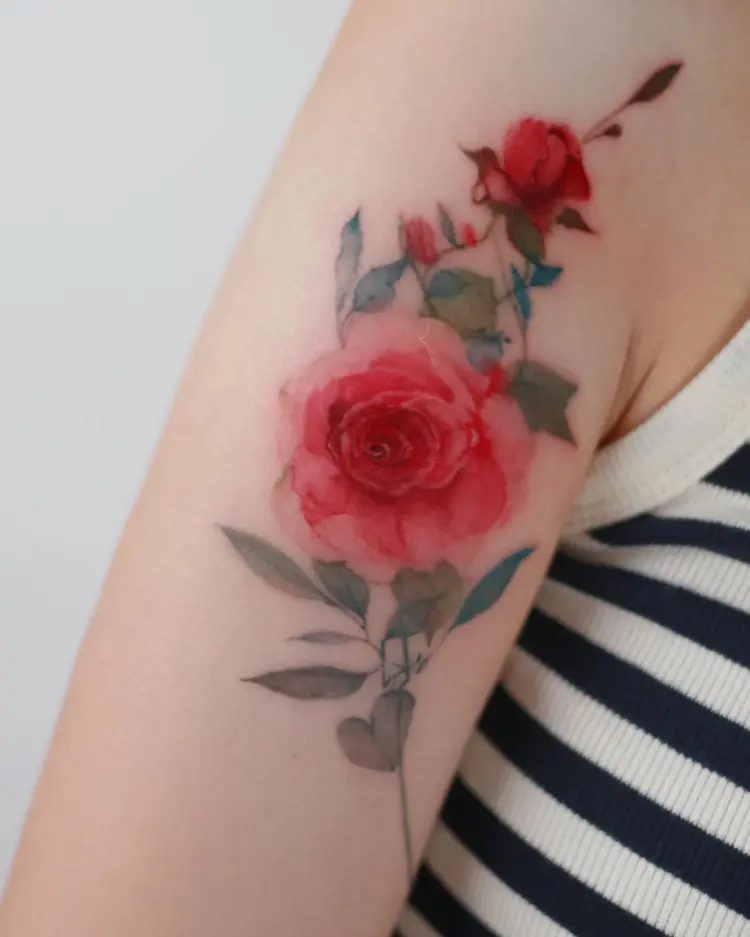 Rose, Flower