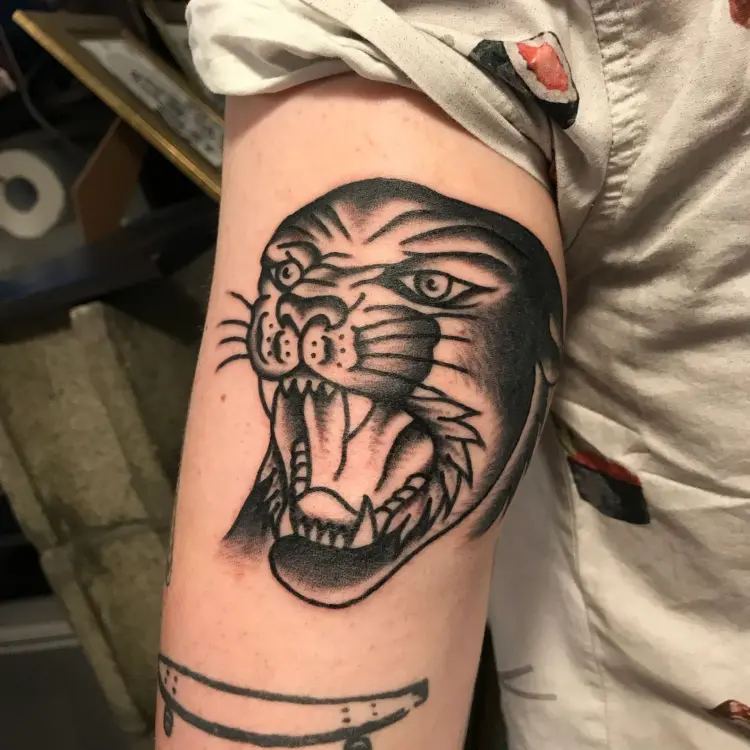 Animal, Tiger