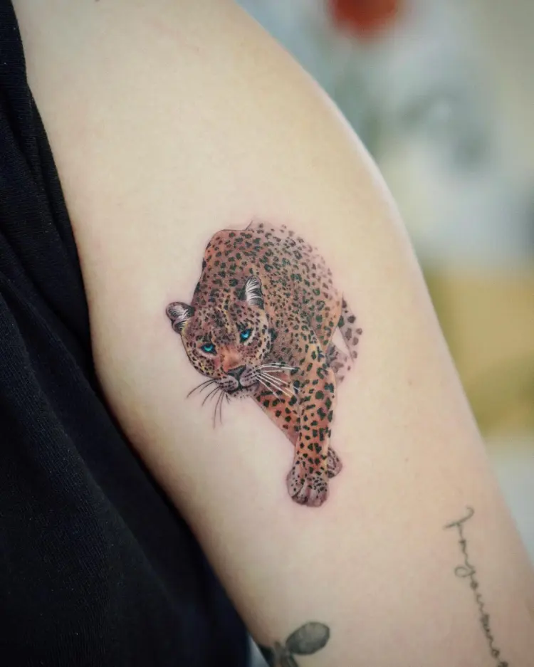 Animal