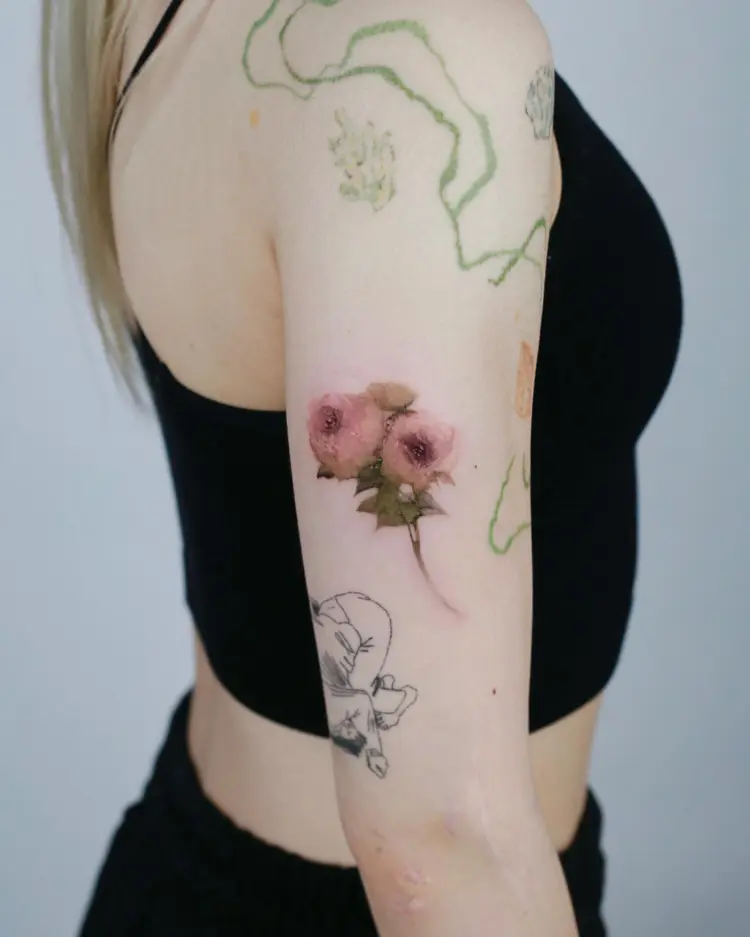 Flower, Nature, Rose