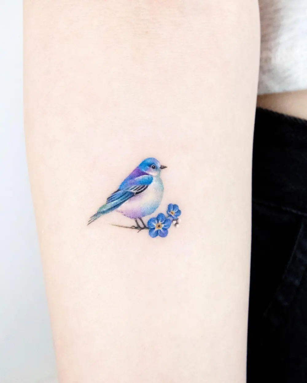 Mini, Nature, Animal, Flower