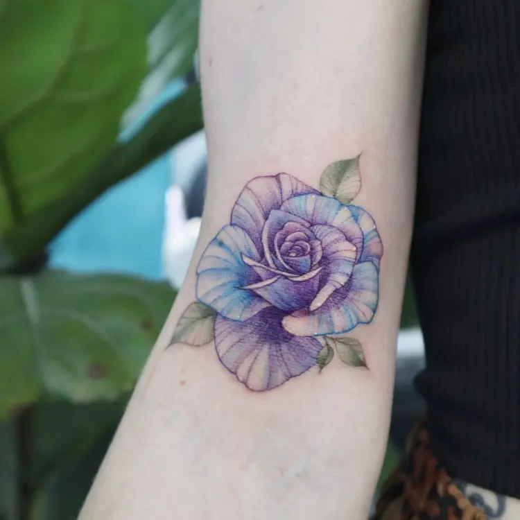 Flower, Rose