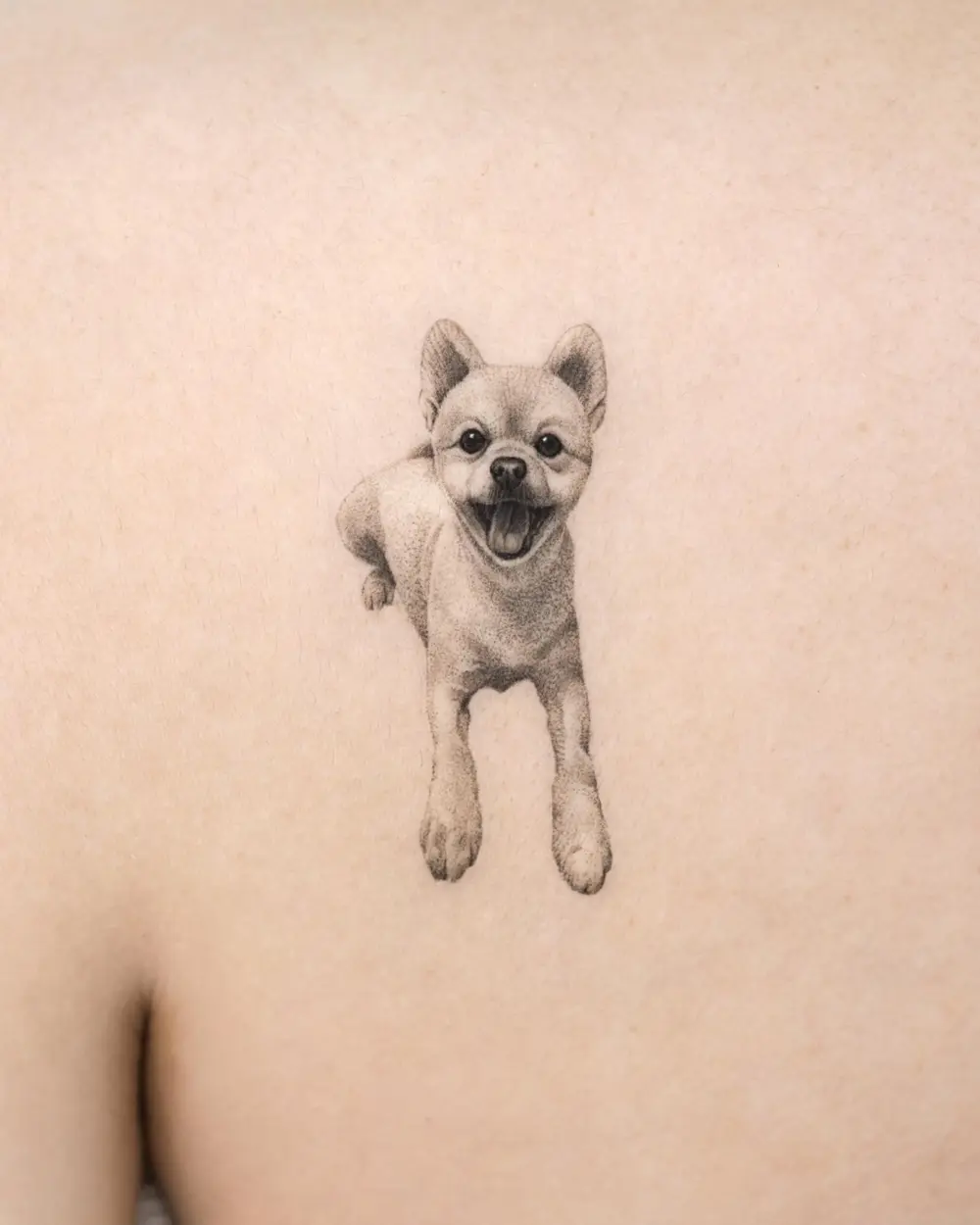 Animal